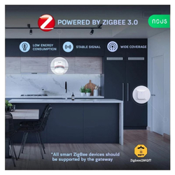 NOUS E8, Smart Smoke Sensor ZigBee