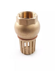 Sací kôš - so spätným ventilom - 2"F