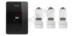 Buderus Logamatic TC 100 Set