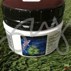Home Pond Bacter Pond 100 g