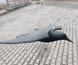 ISO 6556 Odpudzovač holubov a vtákov Havran 40 cm