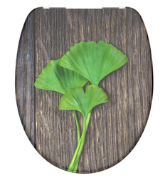 Schütte GINGKO und WOOD | Duroplast, Soft Close