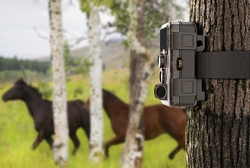 Fotopasca SJCAM M50 zelená Woodland
