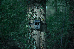Fotopasca Camouflage EZ-Solar Wifi/Bluetooth
