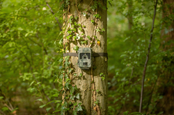Fotopasca Camouflage SM4 Pro