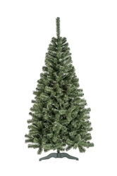 Vianočný stromček Jedľa Lena 150 cm