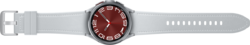 Samsung Galaxy Watch6 Classic 43mm LTE SM-R955F Silver