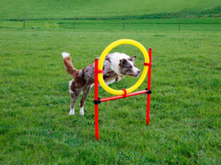 Agility prekážky pre psov KERBL 80758, set 3 typy