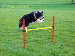 Agility prekážky pre psov KERBL 80758, set 3 typy