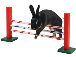 Agility stredná prekážka pre králiky a iné hlodavce KERBL 82859 UPRIGHT JUMP, 30x62cm