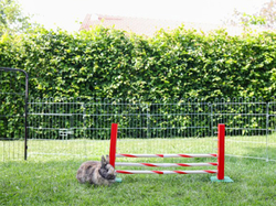 Agility stredná prekážka pre králiky a iné hlodavce KERBL 82859 UPRIGHT JUMP, 30x62cm