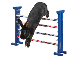 Agility vysoká prekážka pre králiky a iné hlodavce KERBL 82866 KOMBO JUMP, 49x62 cm