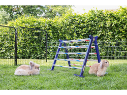 Agility vysoká prekážka pre králiky a iné hlodavce KERBL 82866 KOMBO JUMP, 49x62 cm