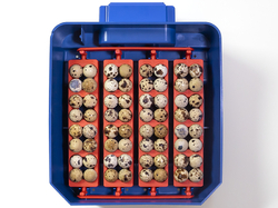 Automatická liaheň na vajcia BOROTTO LUMIA 16 AUTOMATIC