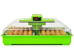 Automatická liaheň na vajcia CIMUKA PD60SH AUTOMATIC