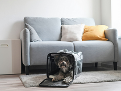Cestovná taška pre psa, mačku KERBL 80578 CASUAL, 41x28x29 cm, do 9kg