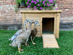 Domček pre kačky KERBL 82809 DUCK TOWN