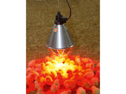 Infralampa KERBL 2228 ARTAS, 175W s hliníkovým tienidlom 21cm a káblom 2,5 m