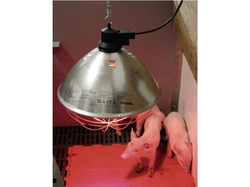 Infralampa KERBL 22729, 250W s hliníkovým tienidlom 35cm a káblom 5m