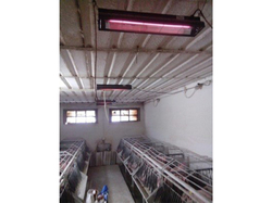 Infražiarič závesný SYNER LCA 750 W pre kurčatá, prasiatka, žriebätá, teľatá