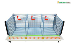 Klietka pre odchov hydiny CIMUKA GL40-03-TA