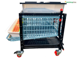 Klietka pre prepelice CIMUKA BYK-03-1K