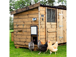 Komplet automatického otevírání a zavírání kurína CHICKEN GUARD PRO 25x30 SOLAR KIT
