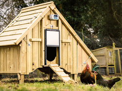 Komplet automatického otvárania a zatvárania kurína CHICKEN GUARD PRO 25x30
