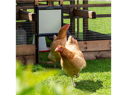Komplet automatického otvárania a zatvárania kurína CHICKEN GUARD PRO 25x30