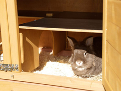 Králikáreň dvojposchodová KERBL 81719 APPARTMENT PRO