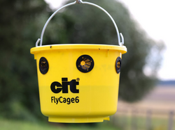 Lapač múch vrátane návnady KERBL CIT FLYCAGE6
