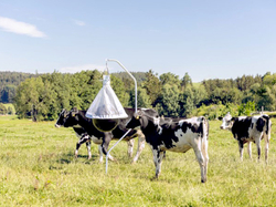 Lapač ovádov KERBL 323500 TAONX ECO