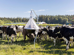 Lapač ovádov KERBL 323500 TAONX ECO