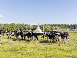 Lapač ovádov KERBL 323500 TAONX ECO