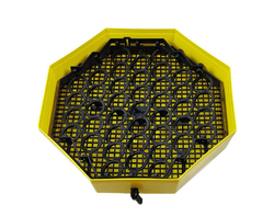 Liaheň na vajcia CLEO 5 DTH