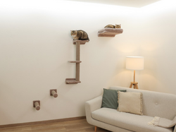 Mačacie strom na stenu KERBL 80919 MONTE ALPI, sada nástenných poschodí, taupe, 8 ks