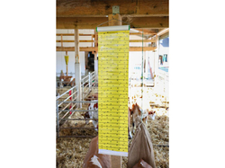 Mucholapka so závesom KERBL 299847, 30cm x 9m