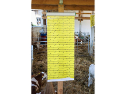 Mucholapka so závesom KERBL 299847, 30cm x 9m