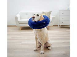 Nafukovací ochranný golier pre psov KERBL 80835 SURGICAL COLLAR, 25-35 cm, modrá