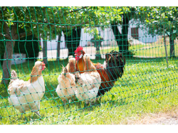 Nevodivá sieť pre hydinu KERBL 292278, 106 cm x 50 m / 2 hroty