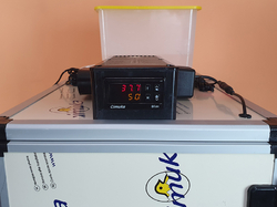 Plne automatická liaheň na vajcia CIMUKA CT180SH AUTOMATIC