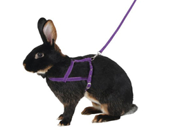 Postroj a vodítko pre králika pre agility KERBL 81760 - veľ. M, 200 cm