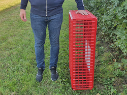 Prepravný box na živú hydinu CRATE MOD A1 - 95,5x57x27,5cm