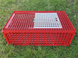 Prepravný box na živú hydinu CRATE MOD B1 - 95,5x57x32,5cm