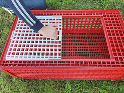 Prepravný box na živú hydinu CRATE MOD B1 - 95,5x57x32,5cm
