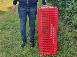 Prepravný box na živú hydinu CRATE MOD B2 - 95,5x57x32,5cm