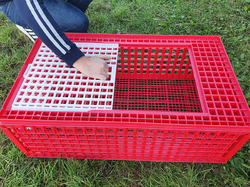 Prepravný box na živú hydinu CRATE MOD B2 - 95,5x57x32,5cm