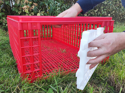 Prepravný box na živú hydinu CRATE MOD B2 - 95,5x57x32,5cm