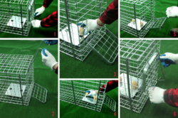 Profesionálna pasca na líšky, kuny, vydry a mačky TRAP ST118x34x34V1