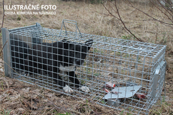 Profesionálna pasca na líšky, kuny, vydry a mačky TRAP ST130x34x34K